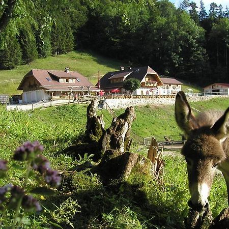 Ferienwohnung Hochsteinalm トラウンキルヒェン エクステリア 写真