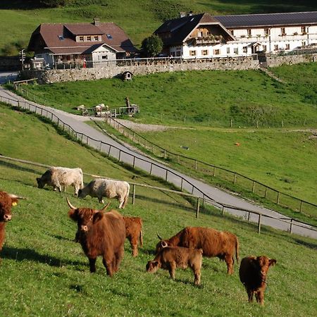 Ferienwohnung Hochsteinalm トラウンキルヒェン エクステリア 写真