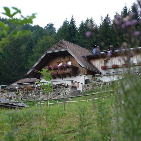 Ferienwohnung Hochsteinalm トラウンキルヒェン エクステリア 写真