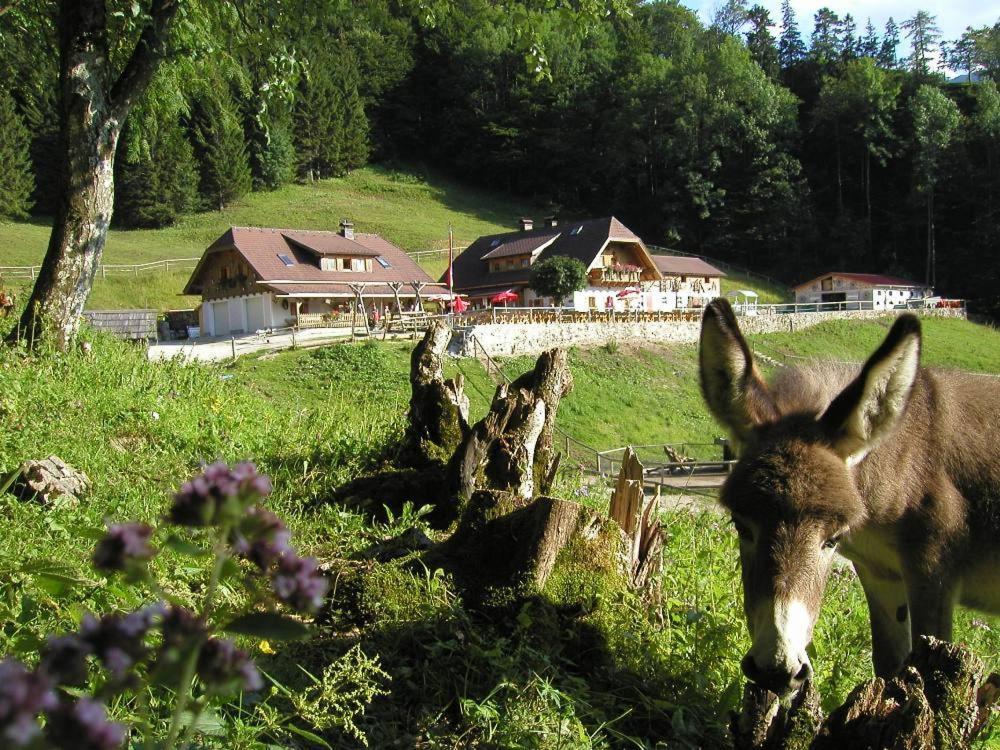Ferienwohnung Hochsteinalm トラウンキルヒェン エクステリア 写真
