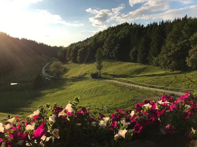 Ferienwohnung Hochsteinalm トラウンキルヒェン エクステリア 写真