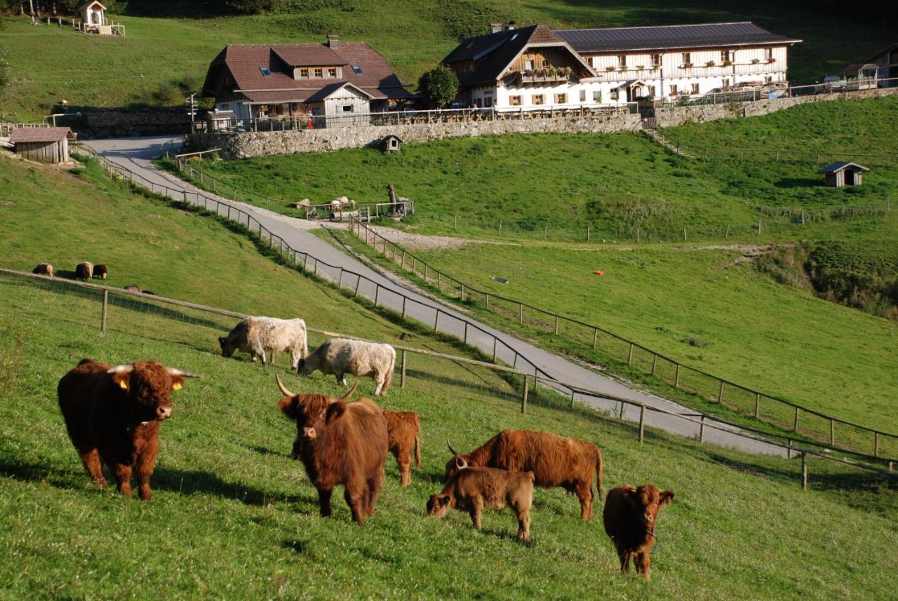 Ferienwohnung Hochsteinalm トラウンキルヒェン エクステリア 写真