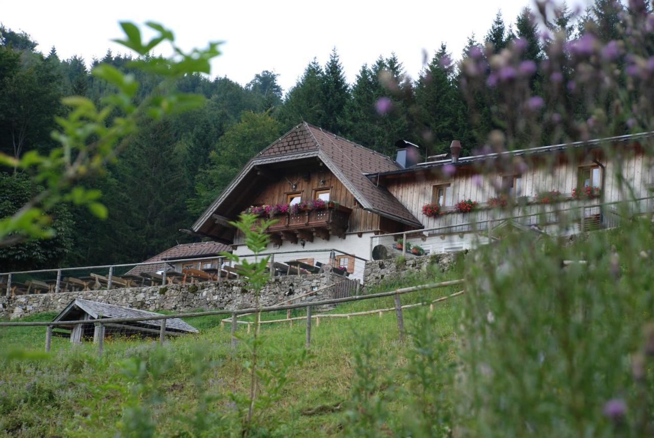 Ferienwohnung Hochsteinalm トラウンキルヒェン エクステリア 写真