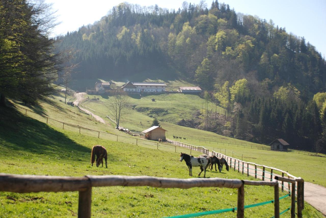 Ferienwohnung Hochsteinalm トラウンキルヒェン エクステリア 写真